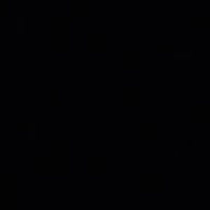 Meet your Posher, Brooklyn